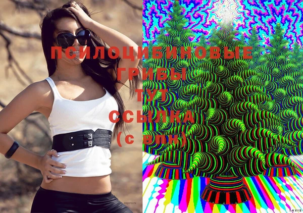 скорость Алексеевка