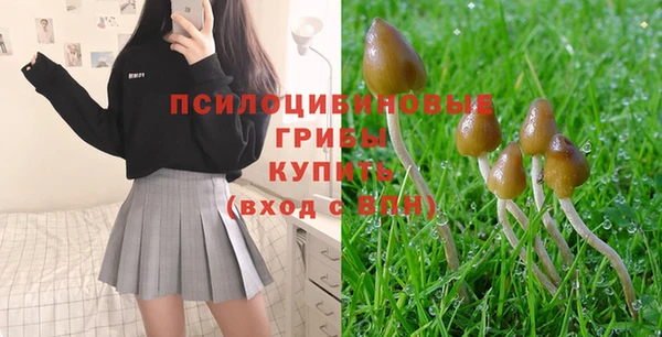 ешки Алексин