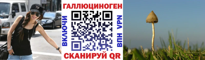 купить Апатиты Псилоцибиновые грибы Cubensis