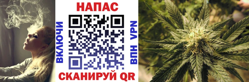 МАРИХУАНА марихуана  Апатиты 